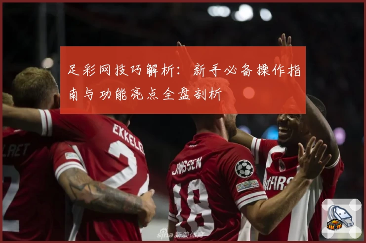 足彩网技巧解析：新手必备操作指南与功能亮点全盘剖析