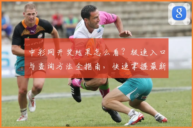 中彩网开奖结果怎么看？极速入口与查询方法全指南，快速掌握最新信息