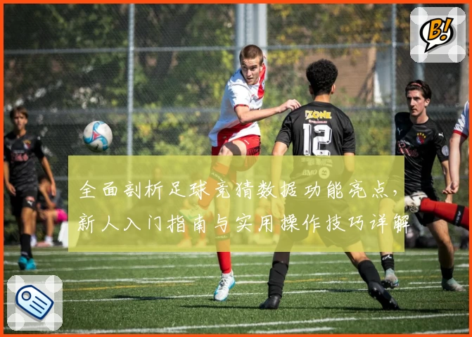 全面剖析足球竞猜数据功能亮点，新人入门指南与实用操作技巧详解