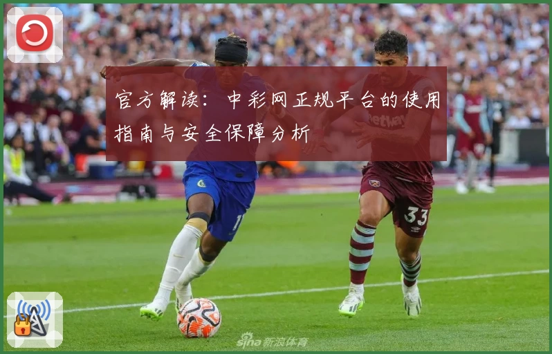官方解读：中彩网正规平台的使用指南与安全保障分析