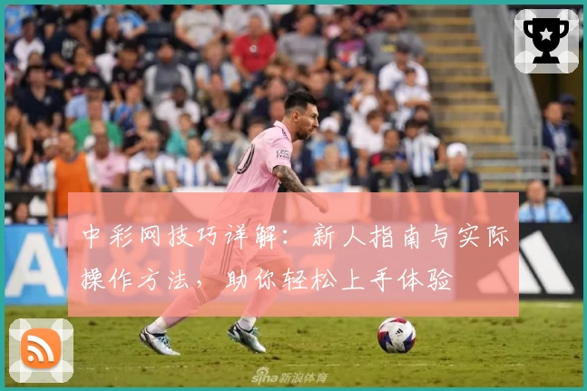 中彩网技巧详解：新人指南与实际操作方法，助你轻松上手体验