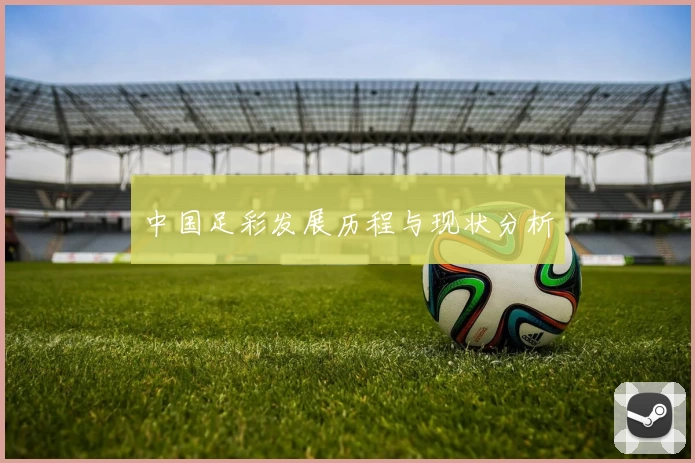 中国足彩发展历程与现状分析