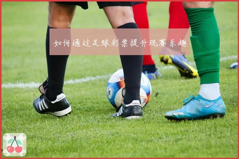 如何通过足球彩票提升观赛乐趣