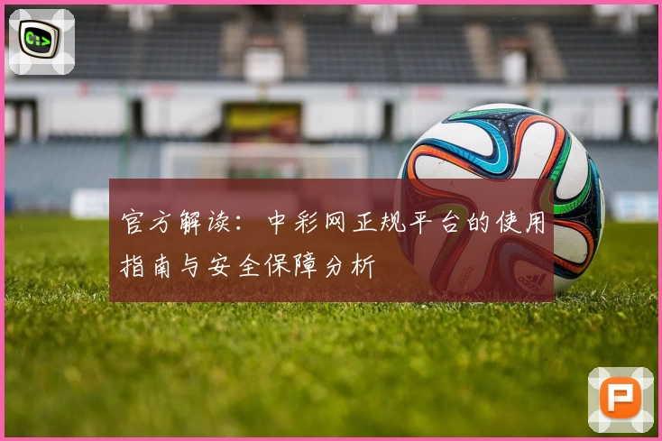 官方解读：中彩网正规平台的使用指南与安全保障分析